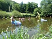 Cliquez pour agrandir