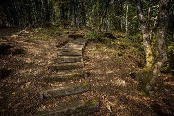 Andere wandelingen in de Eislek