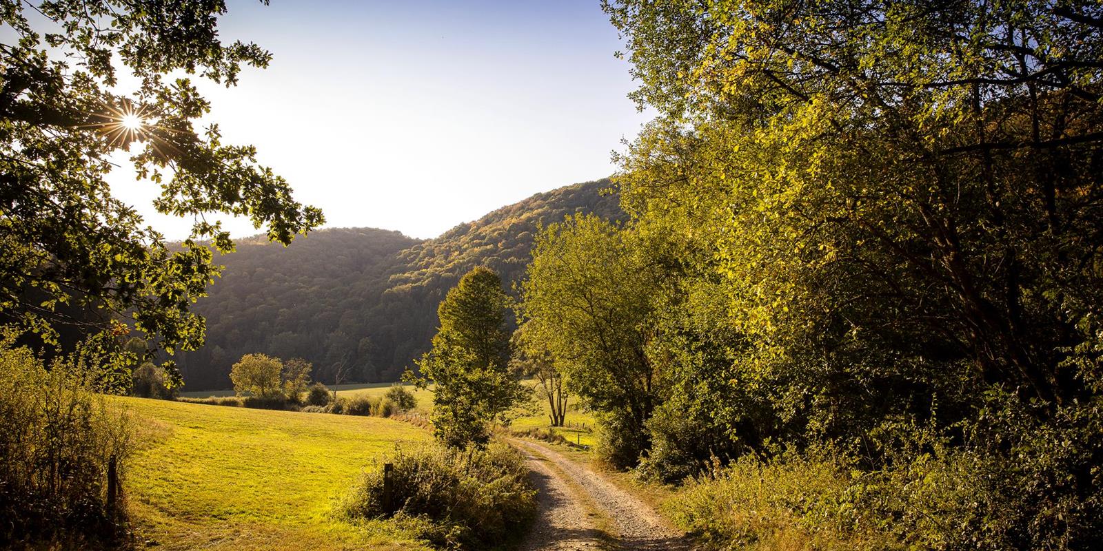 Wandern - Aktivitäten