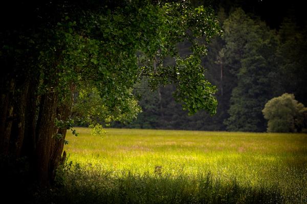 Andere wandelingen in de Eislek