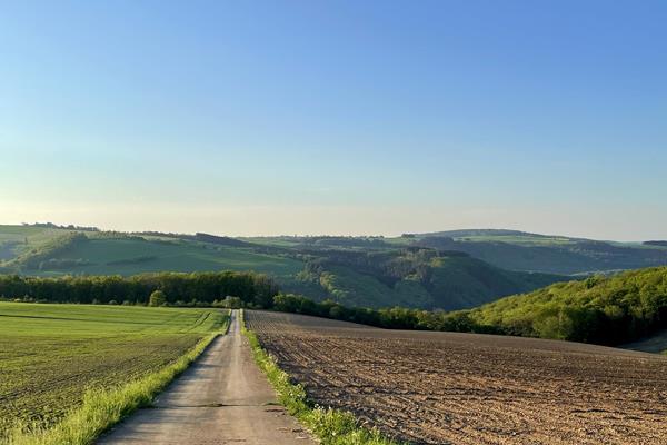 Randonnée dans la vallée de l’Our