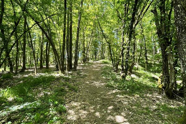 Hiking in the Our Valley - Activities