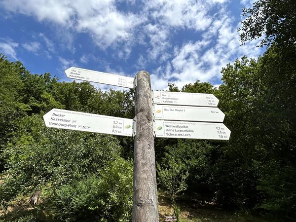 Wandelen in het Ourdal - Activiteiten