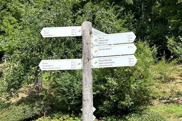 Wandern im Ourtal - Aktivitäten